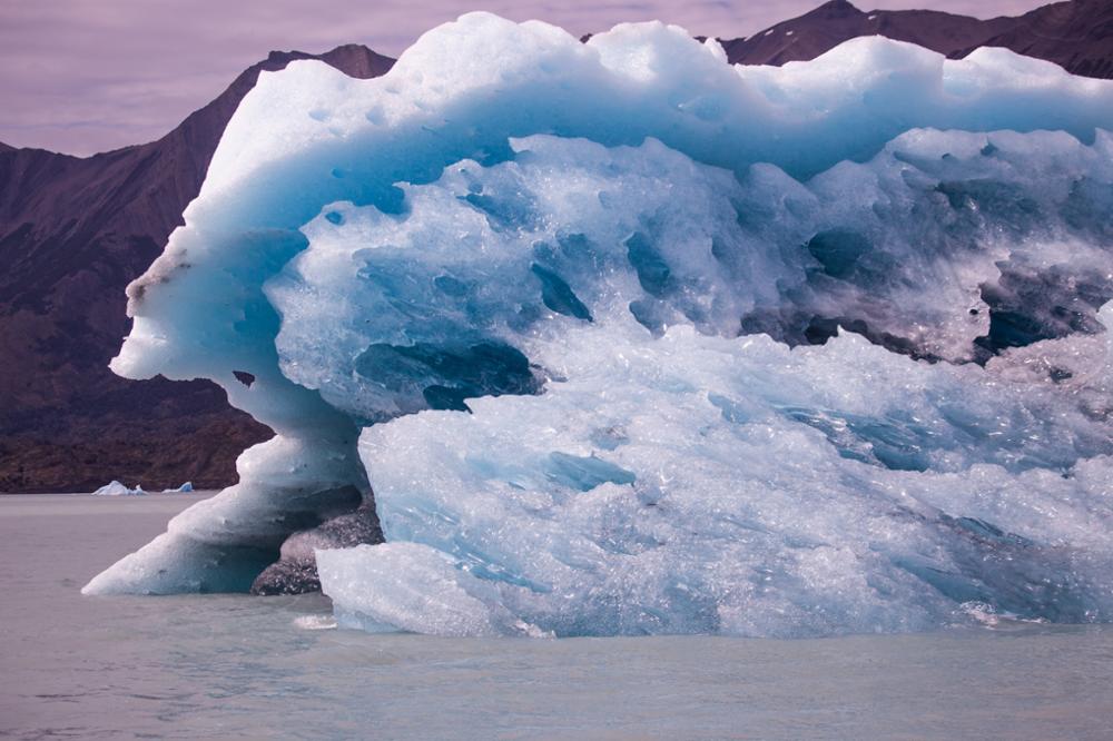 Les plus beaux glaciers de la Patagonie